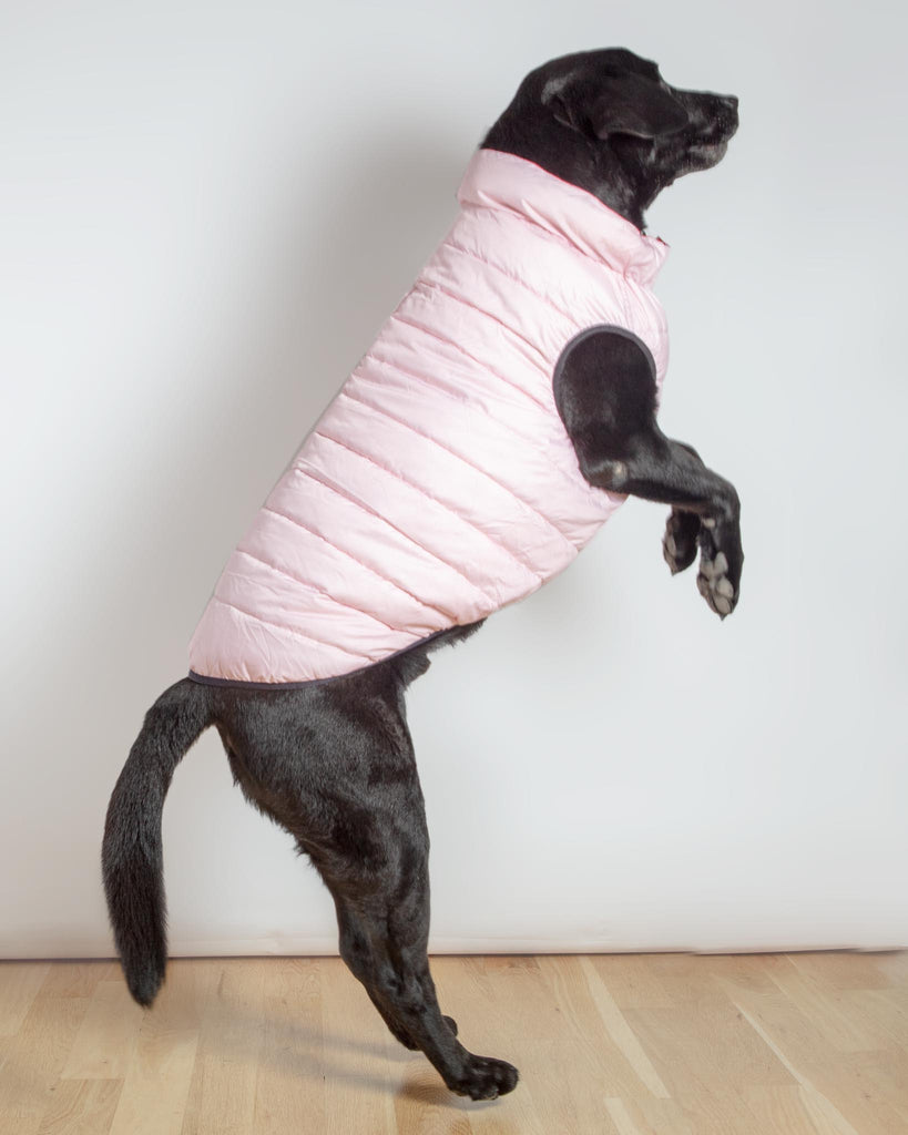Reversible AiryVest in Strawberry + Blush (DOG & CO. Exclusive) Wear AIRYVEST for DOG & CO.   