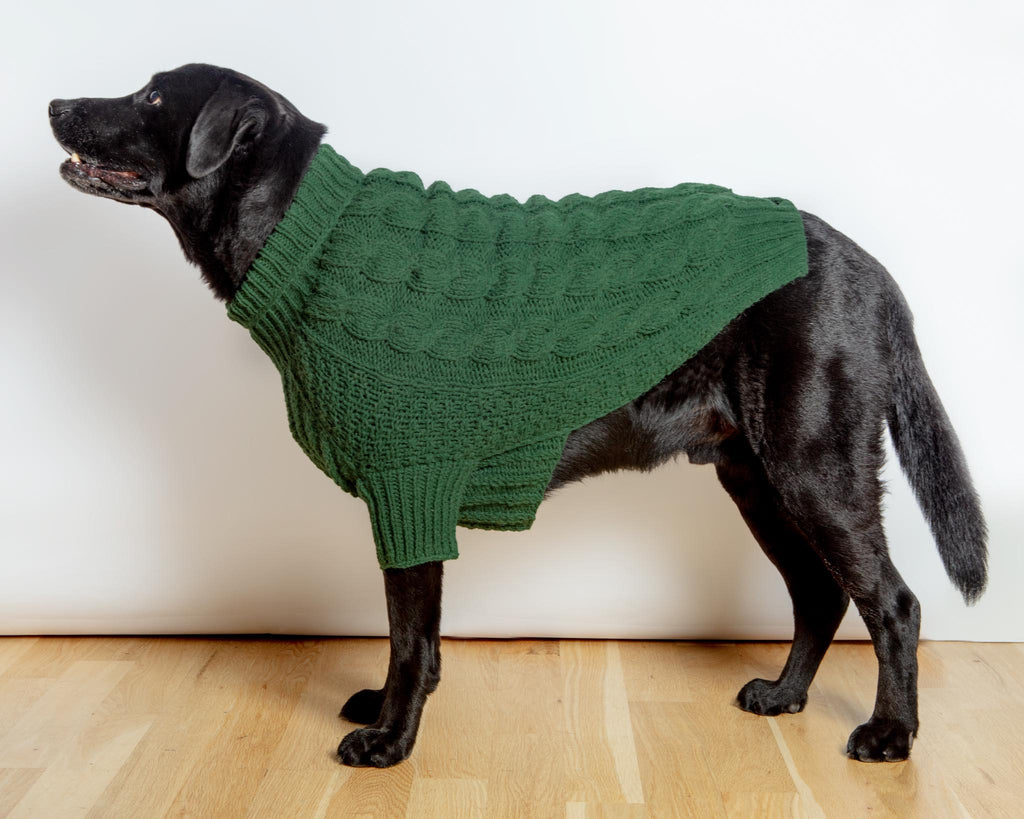 Downtown Roll Neck Dog Sweater in Evergreen Wear DOG & CO. COLLECTION   