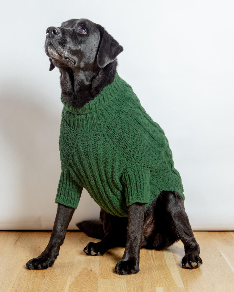 Downtown Roll Neck Dog Sweater in Evergreen Wear DOG & CO. COLLECTION   