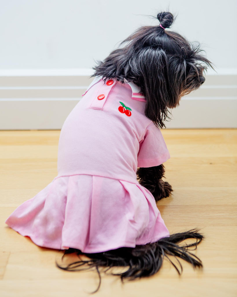 Cheeky Cherry Dog Dress (CLEARANCE) Dog Apparel BARKWELL   