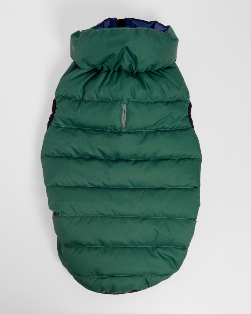 Reversible AiryVest in Evergreen + True Blue (DOG & CO. Exclusive) Wear AIRYVEST for DOG & CO.   