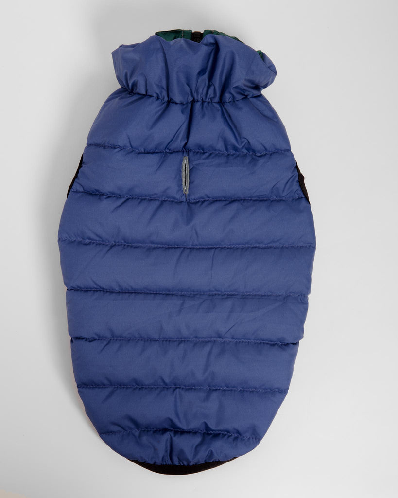 Reversible AiryVest in Evergreen + True Blue (DOG & CO. Exclusive) Wear AIRYVEST for DOG & CO.   