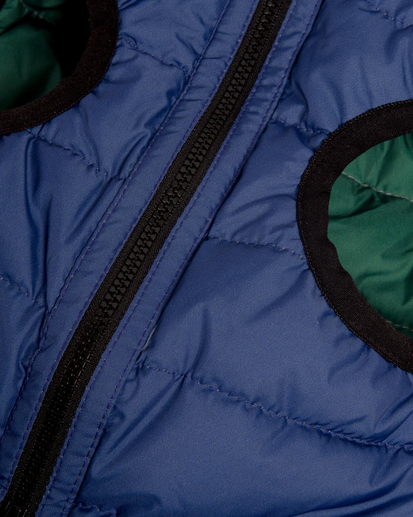 Reversible AiryVest in Evergreen + True Blue (DOG & CO. Exclusive) Wear AIRYVEST for DOG & CO.   