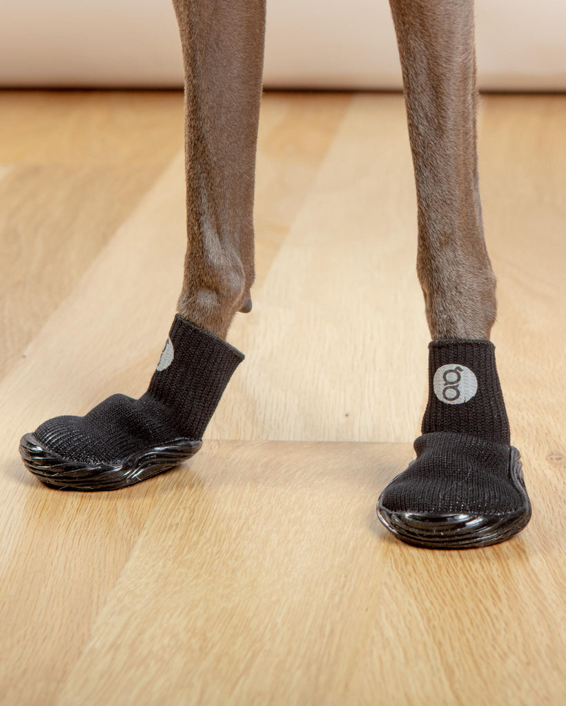 All Season & All Terrain Stretch and Go Dog Boots in Black (FINAL SALE) Wear GOO-EEZ   
