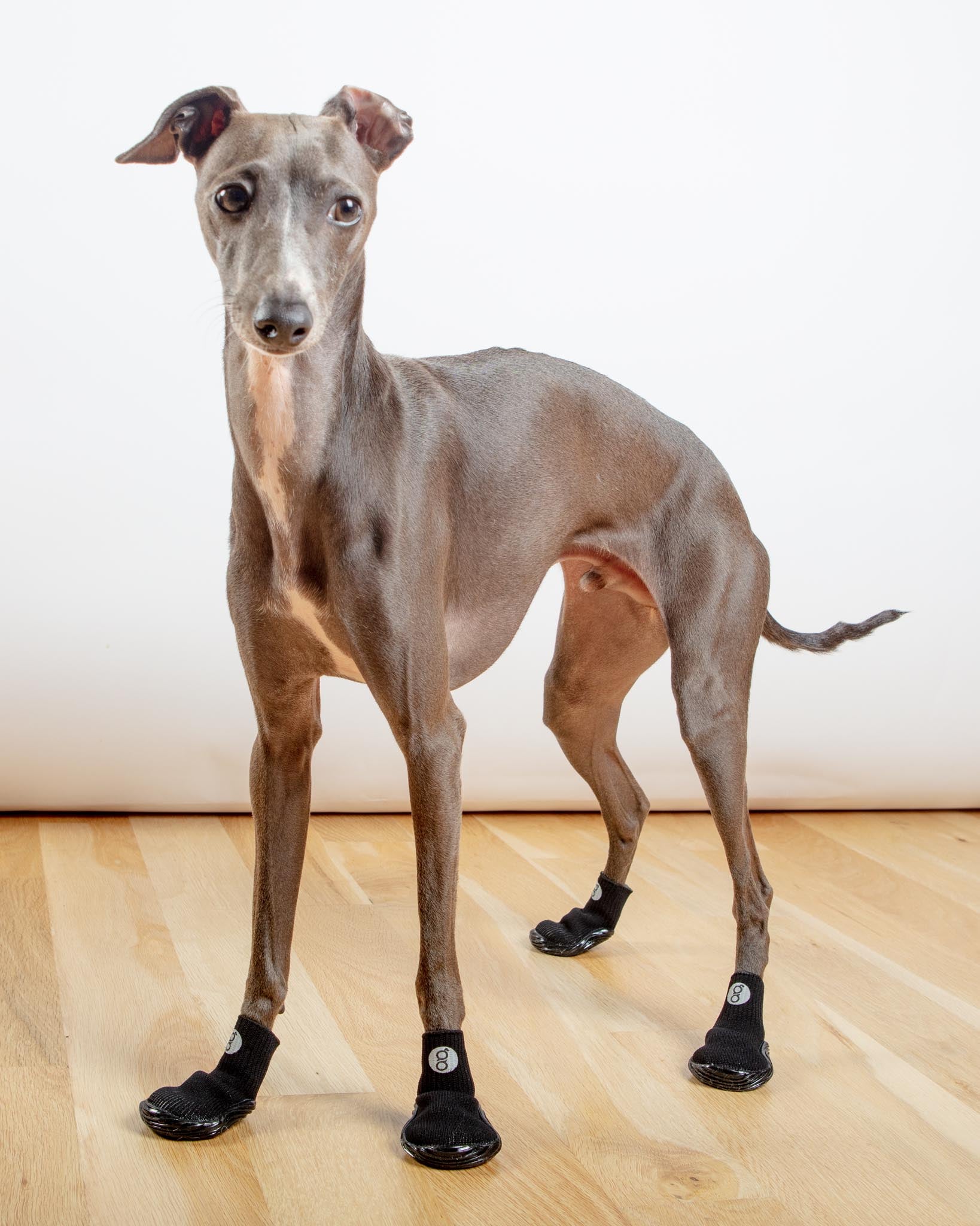 Goo-Eez | All Season & All Terrain Stretch and Go Dog Boots in