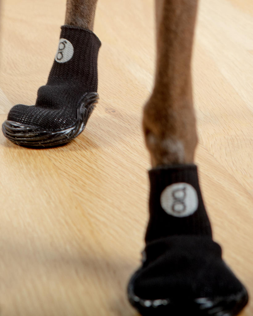All Season & All Terrain Stretch and Go Dog Boots in Black (CLEARANCE) Wear GOO-EEZ   