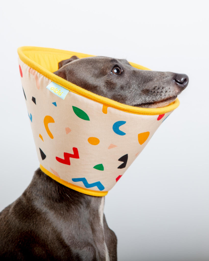 Dog Recovery Cone E-Collar Wear OLCHI   