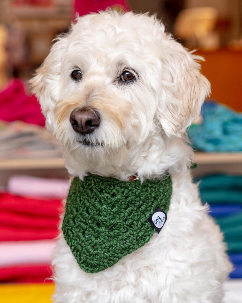 Hand-Crochet Dog Bandana (Made in the USA) Accessories DOG & CO.   