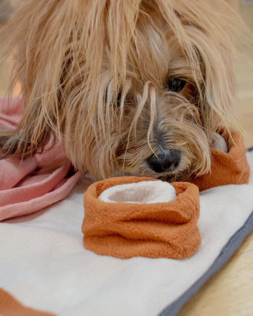 INJOYA | Dinner Table Snuffle Feeding Toy for Dogs & Cats | DOG & CO.
