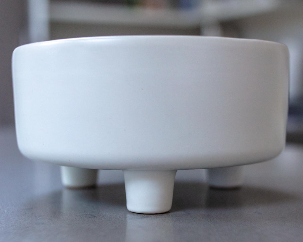 Uplift Ceramic Dog Bowl in White Eat WAGGO   