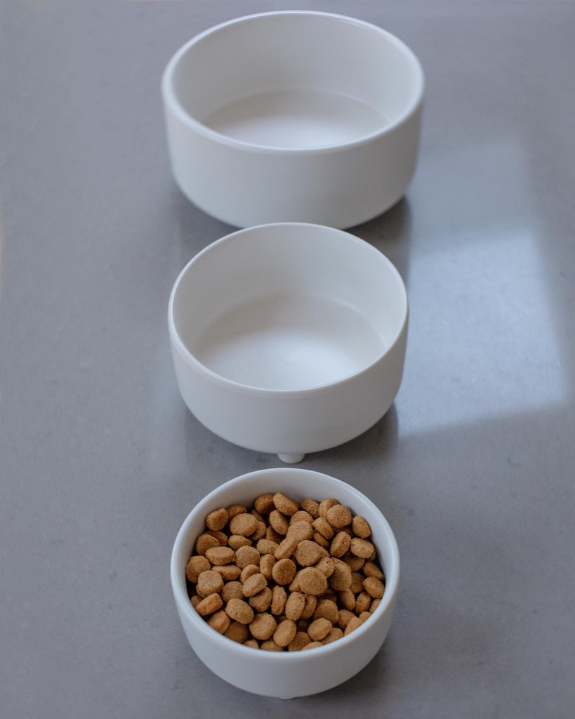 Uplift Ceramic Dog Bowl in White Eat WAGGO   