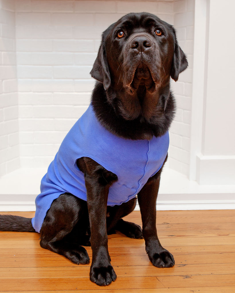 Stretch Fleece Pullover in Cornflower Blue Wear GOLD PAW   