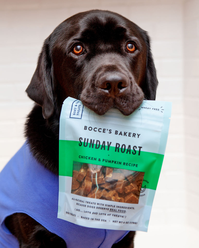 Sunday Roast Chicken & Pumpkin Soft & Chewy Dog Treats Eat BOCCE'S BAKERY   