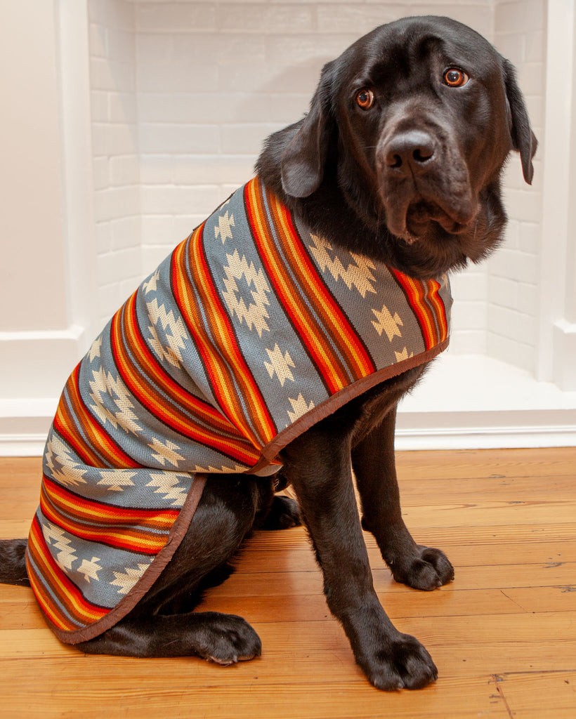 Denim Sunset Blanket Dog Coat << FINAL SALE >> Wear CHILLY DOG   