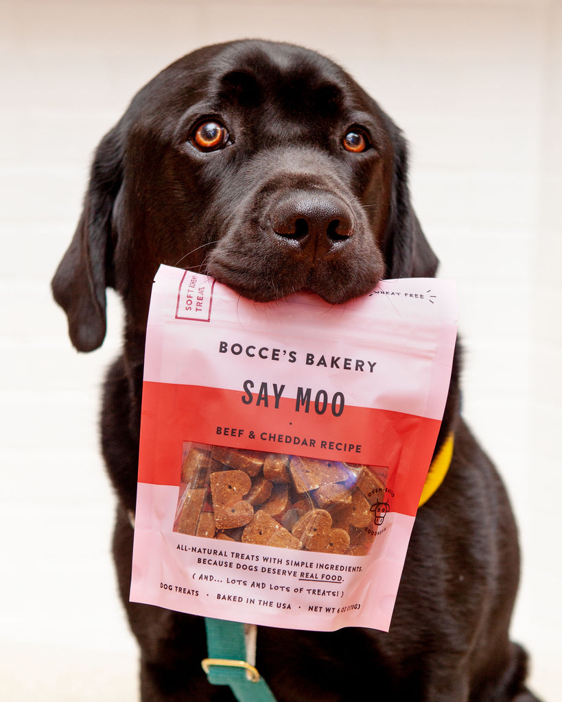 Say Moo Soft & Chewy Dog Treats Eat BOCCE'S BAKERY   