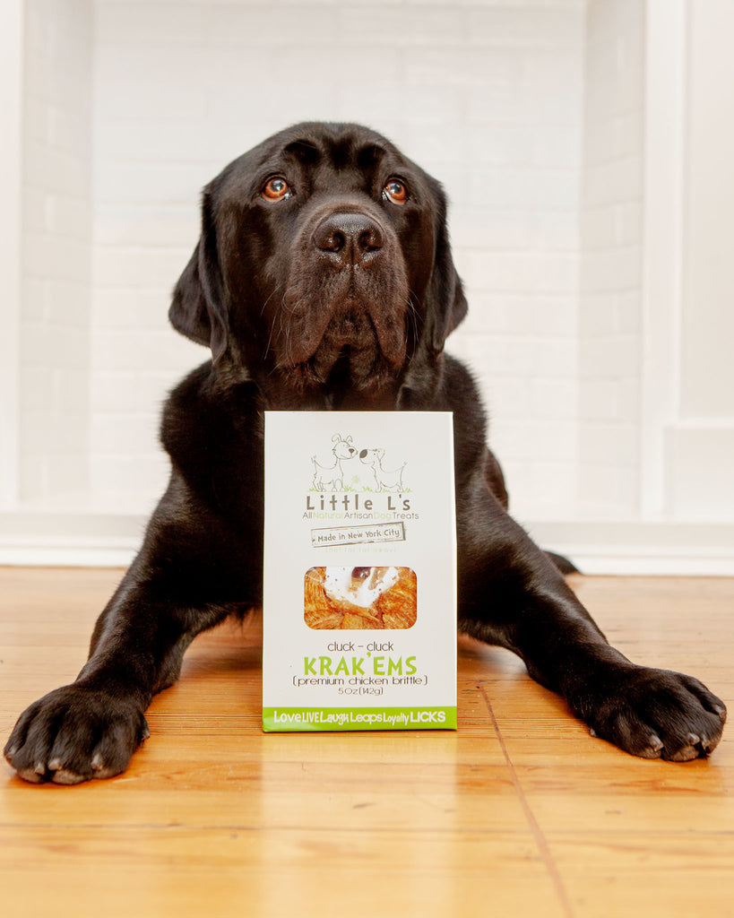 Krak ‘Ems Chicken Brittle Treats for Dogs Eat LITTLE L's   