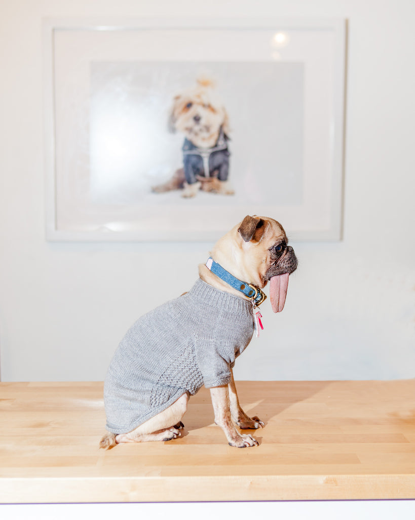 The Mabel Dog Sweater in Grey (Made in the USA) << FINAL SALE >> Wear DOG & CO. COLLECTION   