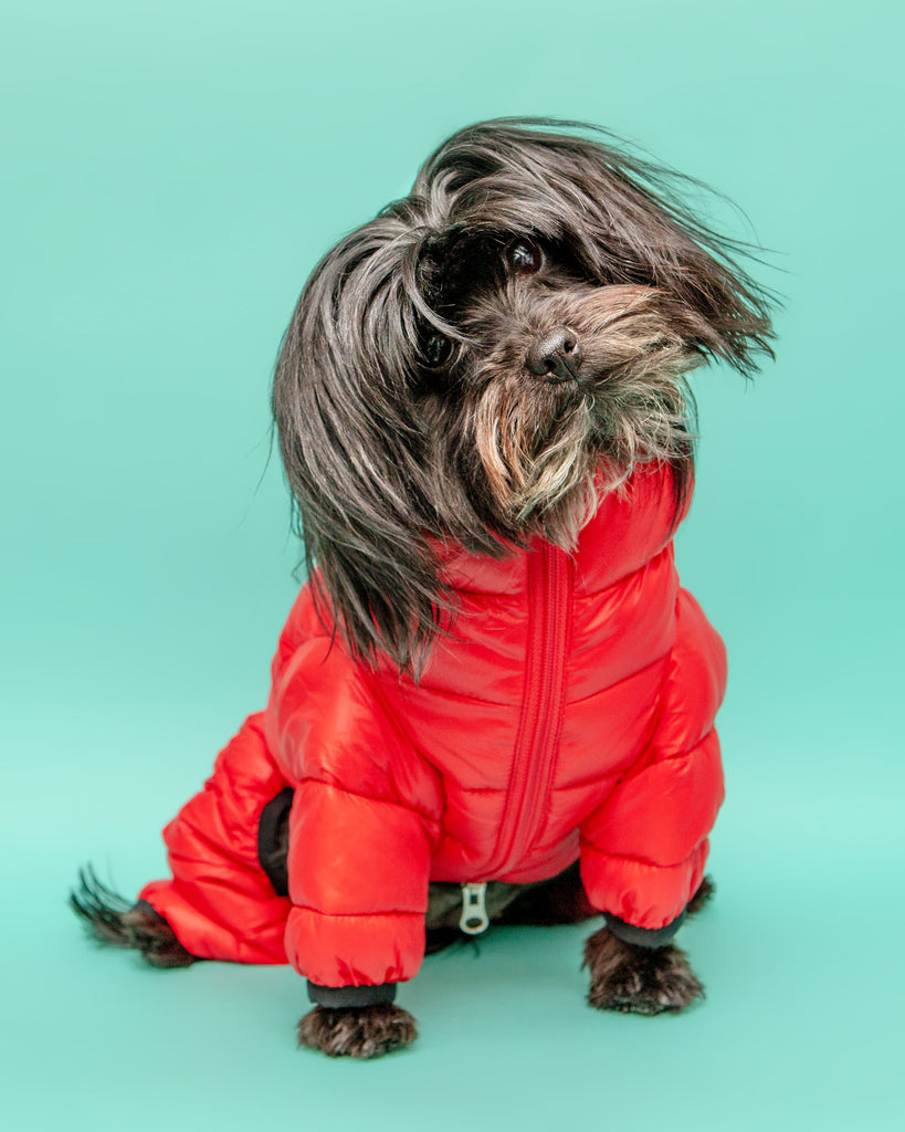 Ultra Light Winter Puffer Jumpsuit in Red Wear PUPPIA   