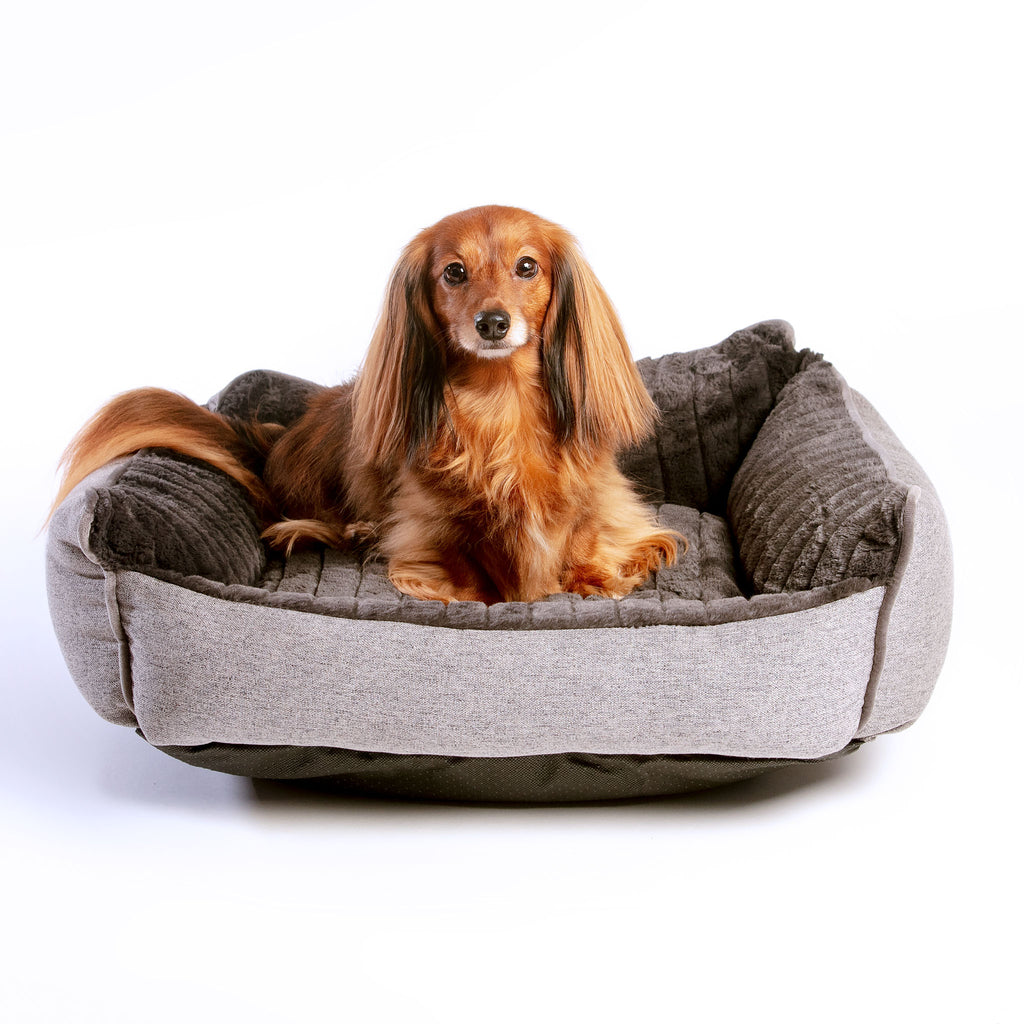 Deep Edge Plush & Tweed Dog Daybed HOME LEFT PINE   