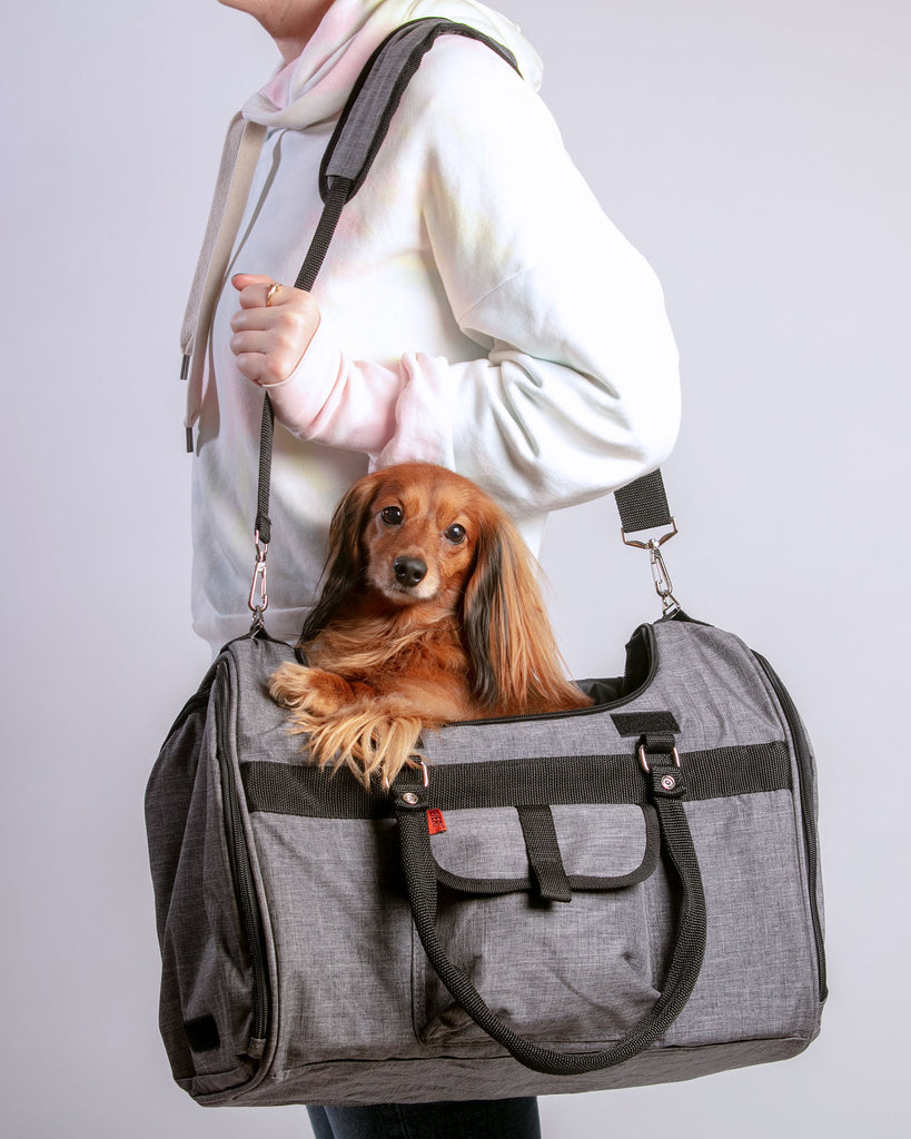 Carrying bag for dogs