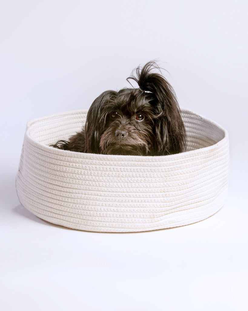 The MarmaBea Basket Pet Bed with Furry Pillow (FINAL SALE) HOME MIDLEE   