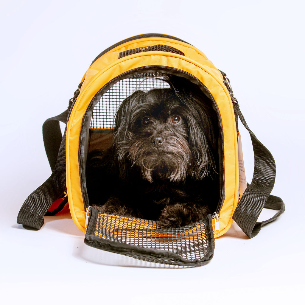 Jet Carrier Pet Carrier in Black (Airline Approved) (FINAL SALE) Carry PREFER PETS   