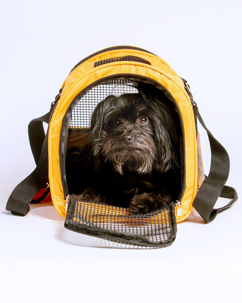 Jet Carrier Pet Carrier in Tangerine (Airline Approved) Carry PREFER PETS   