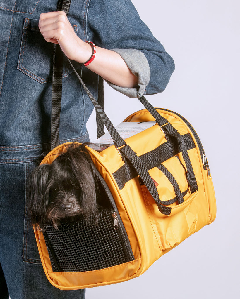 Jet Carrier Pet Carrier in Tangerine (Airline Approved) Carry PREFER PETS   