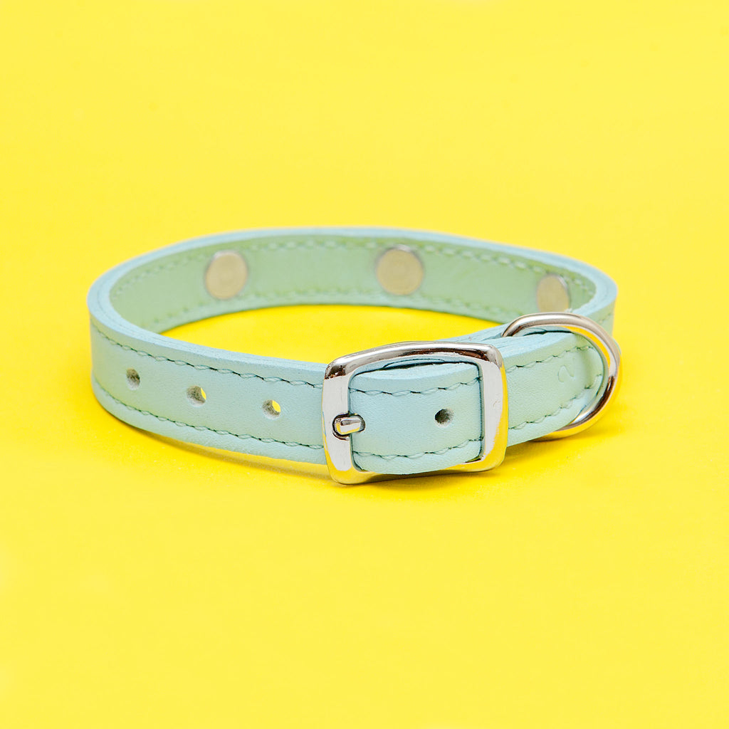 Daisy Dog Collar in Blue Leather (Made in the USA) WALK BARKWELL   