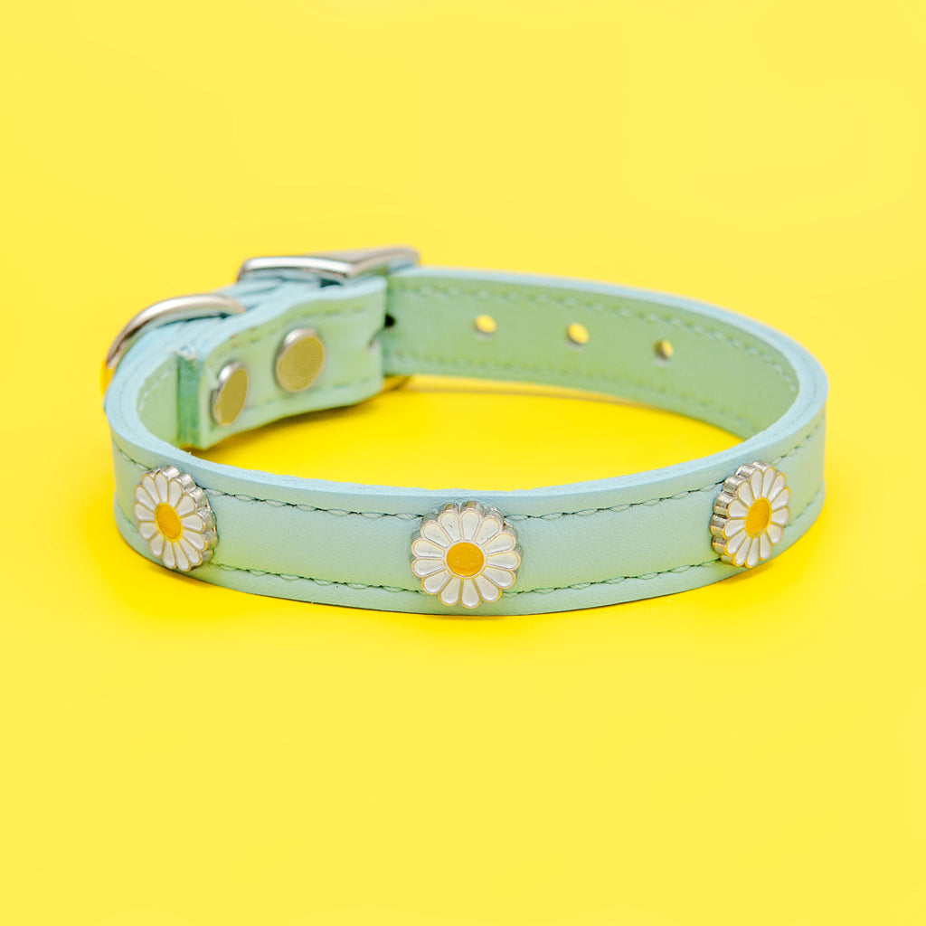 Daisy Dog Collar in Blue Leather (Made in the USA) WALK BARKWELL   