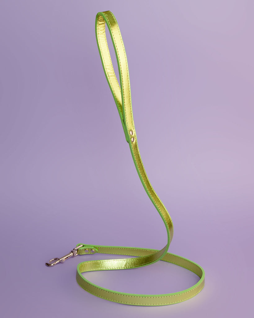 Shimmer Leather Dog Leash in Metallic Acid Green << FINAL SALE >> WALK DESIGN FOR DOGS   