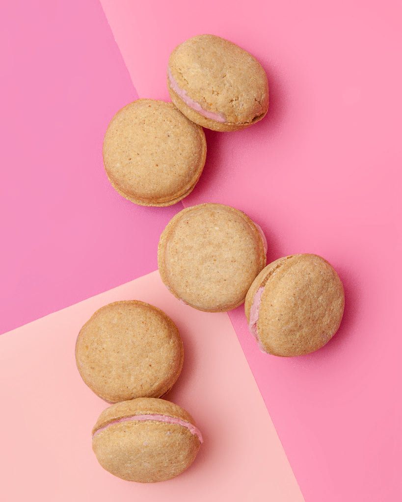 Strawberry Macarons Dog Treat Box Set << FINAL SALE >> Eat BONNE ET FILOU   