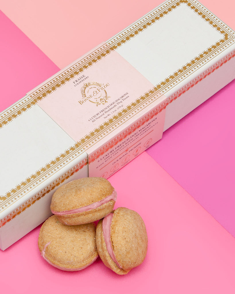 Strawberry Macarons Dog Treat Box Set << FINAL SALE >> Eat BONNE ET FILOU   