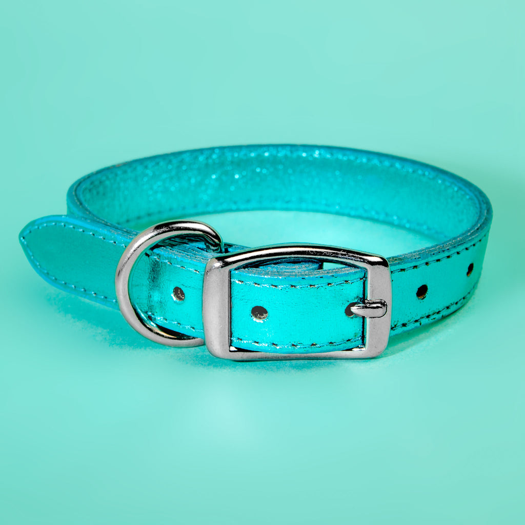 Shimmer Leather Dog Collar in Metallic Turquoise (FINAL SALE) WALK DESIGN FOR DOGS   