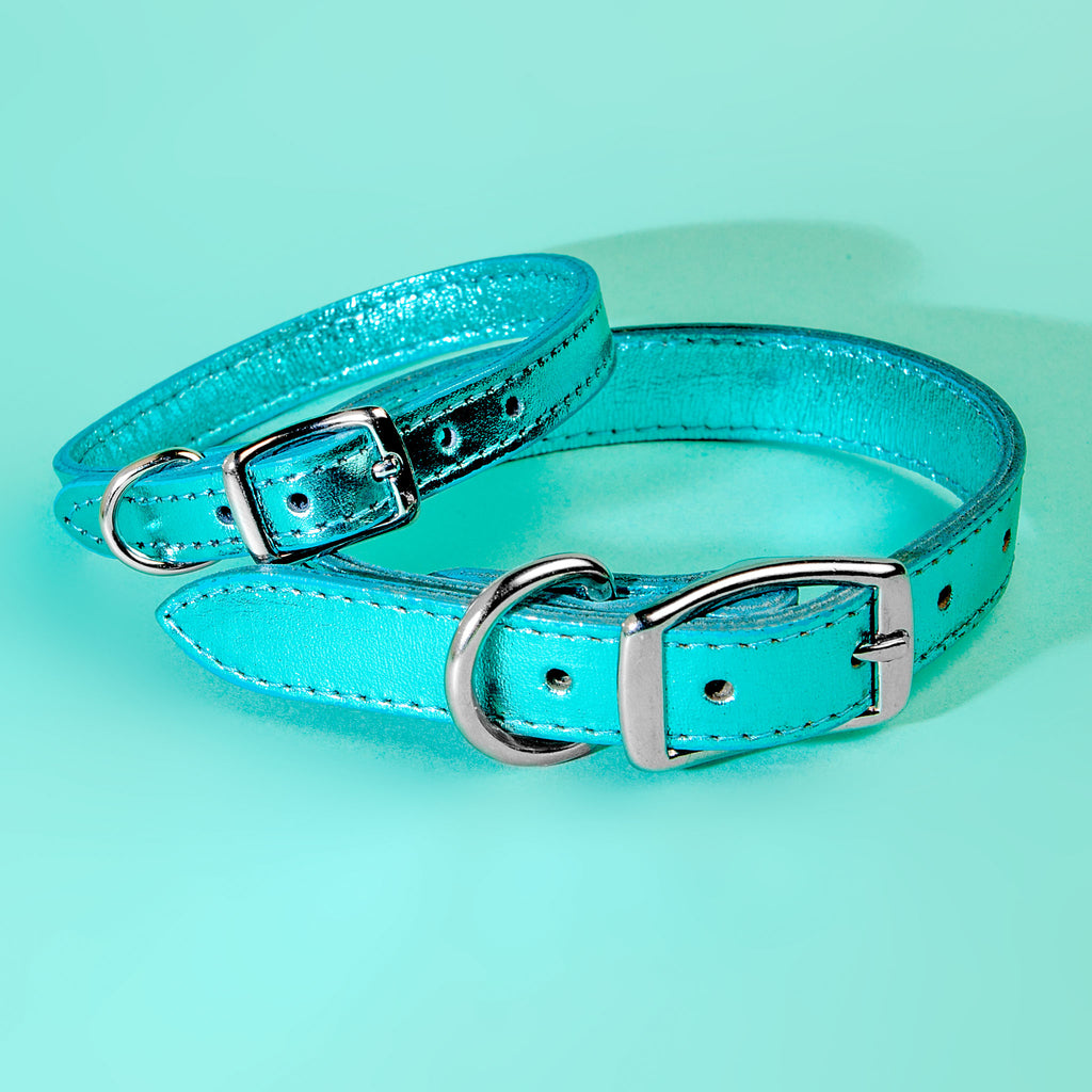 Shimmer Leather Dog Collar in Metallic Turquoise (FINAL SALE) WALK DESIGN FOR DOGS   