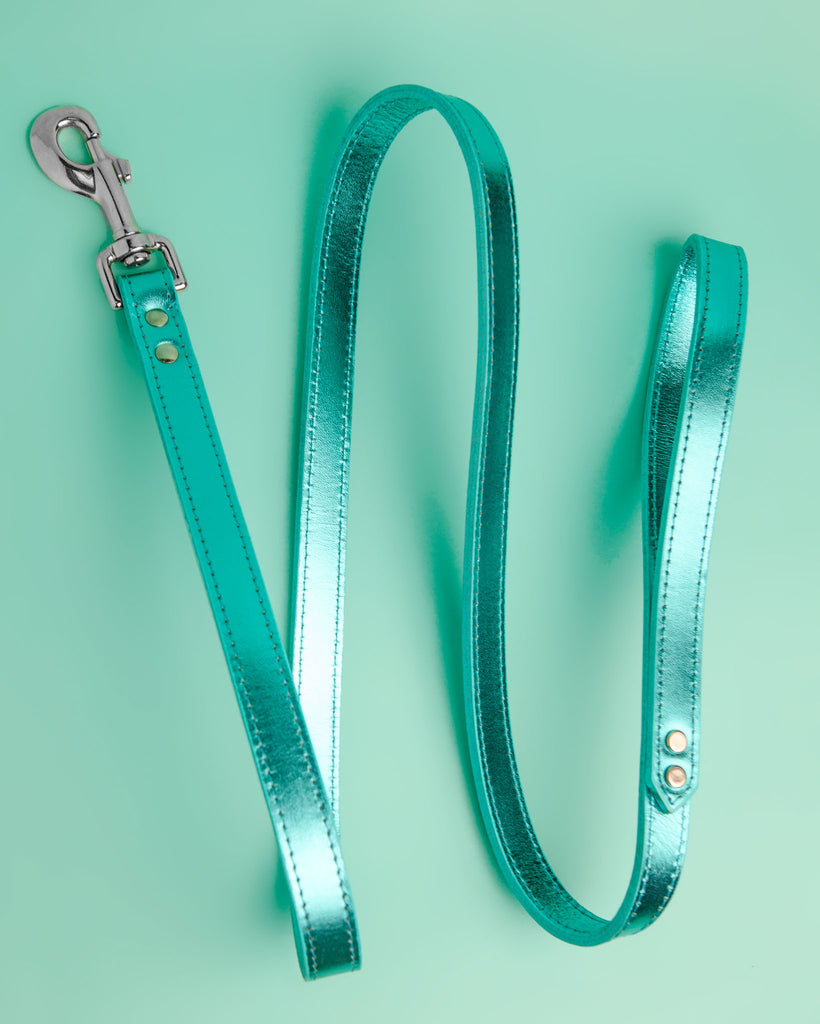Shimmer Leather Dog Collar in Metallic Turquoise (FINAL SALE) WALK DESIGN FOR DOGS   