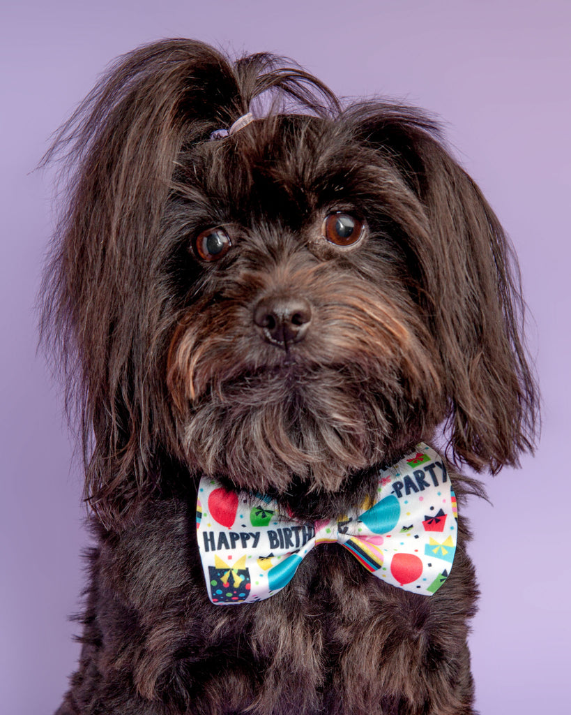 Happy Birthday Bow Tie for Dogs & Cats Accessories DESIGN FOR DOGS   