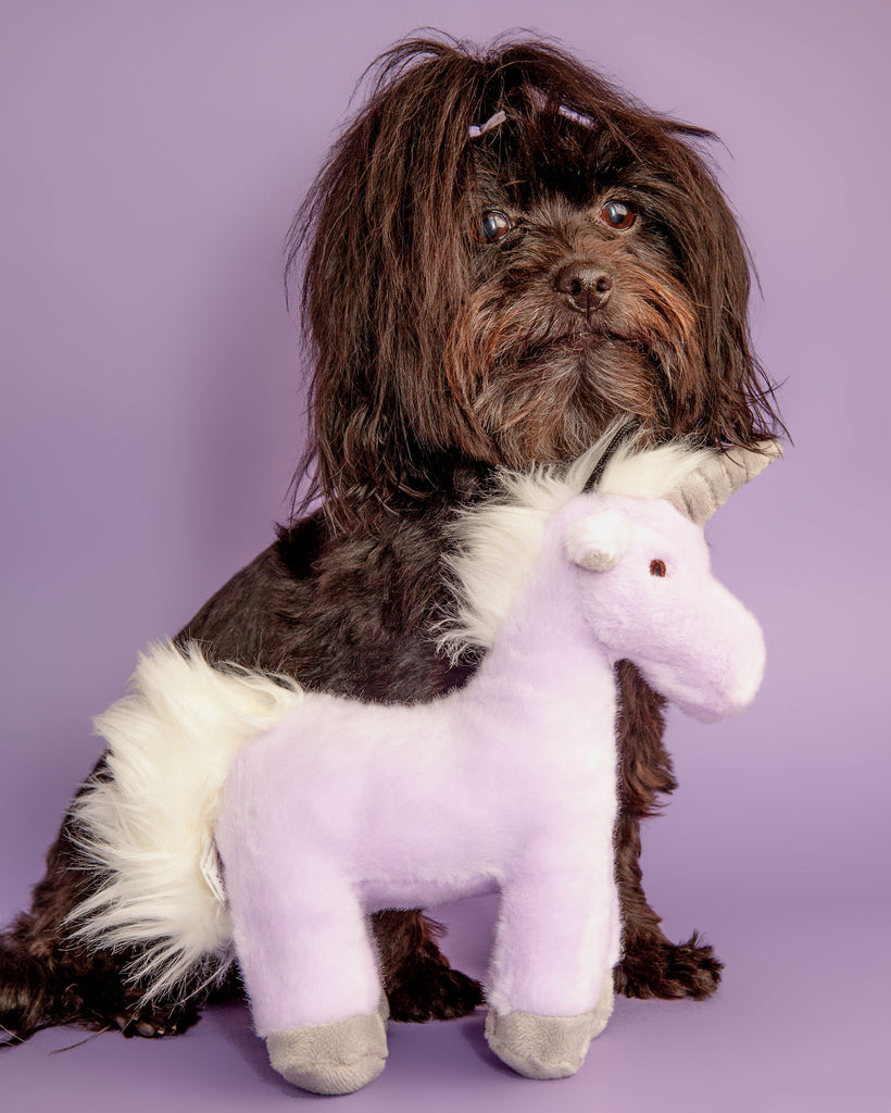 Violet Unicorn Plush Dog Toy Toys FLUFF & TUFF   