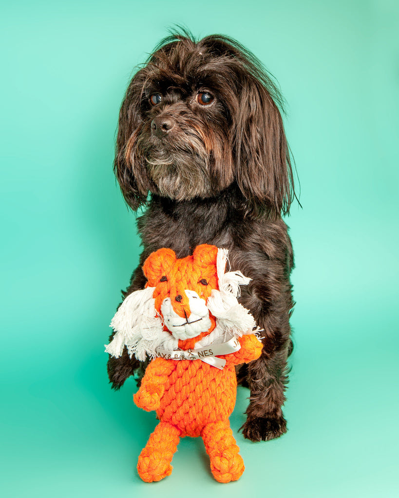 Timmi the Tiger Rope Dog Toy Play JAX & BONES   