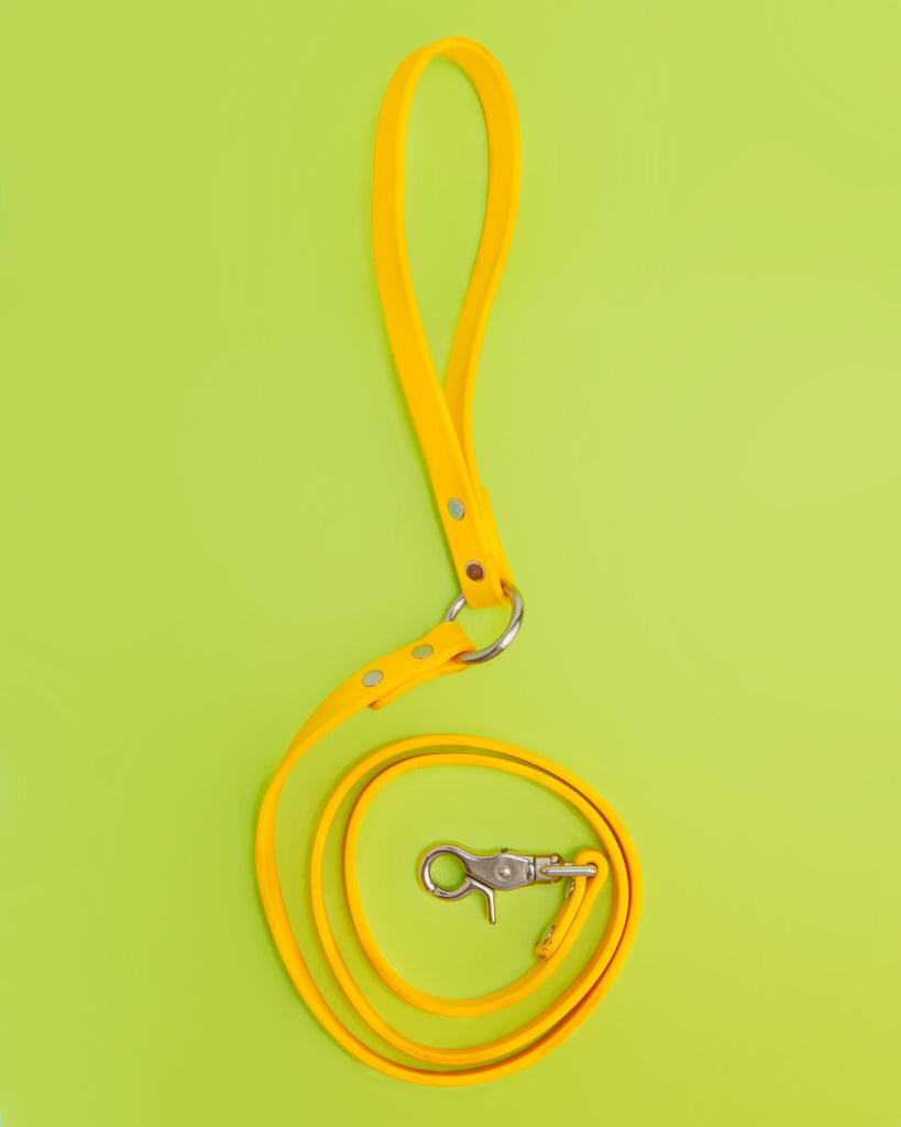 City Leash in Golden Yellow WALK DOG & CO. COLLECTION   