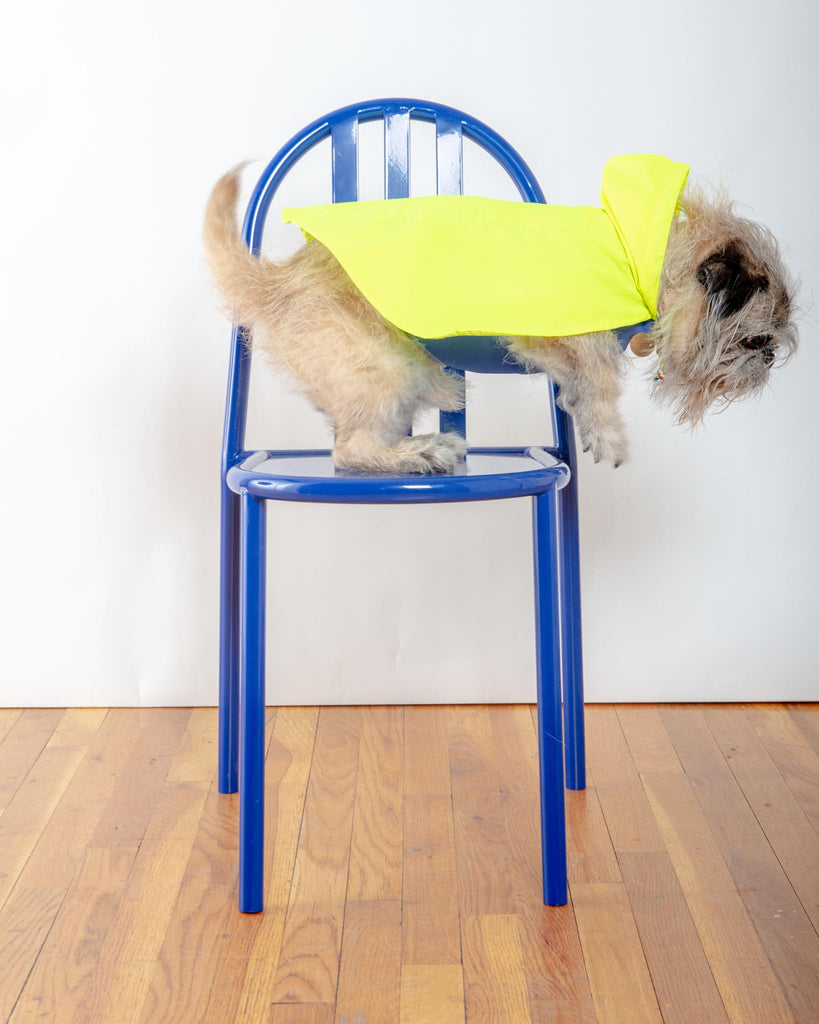 Action Jacket Pull-On Raincoat in Safety Yellow + Blue (Made in NYC) Wear DOG & CO. COLLECTION   