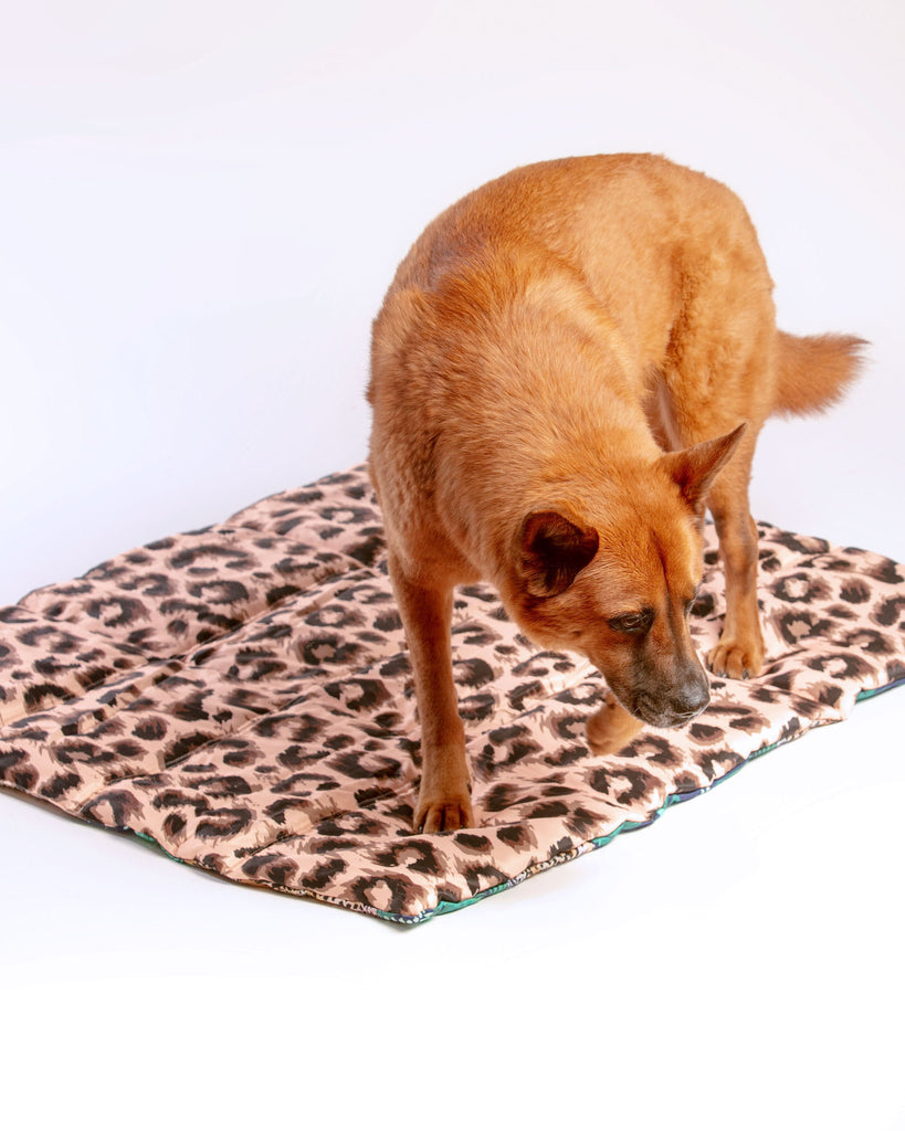 On-The-Go Pet Mat in Tropical Luxe Leopard << FINAL SALE >> HOME BIG AND LITTLE DOGS   