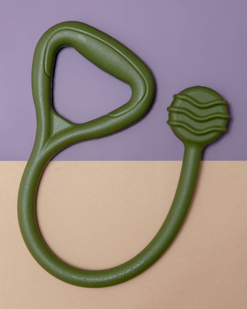 The Perfect Tug Toy in Olive Green or True Blue (Made in the USA) Play JERSEY DOG CO.   