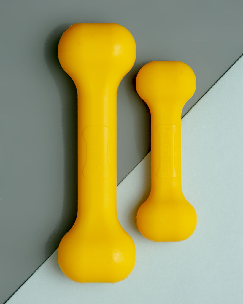 The Perfect Dog Bone in Yellow (Made in the USA) Play JERSEY DOG CO.   