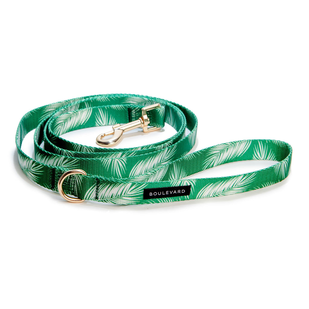 Leash & Water Bowl Set (Drop-Ship) Drop Ship BOULEVARD   