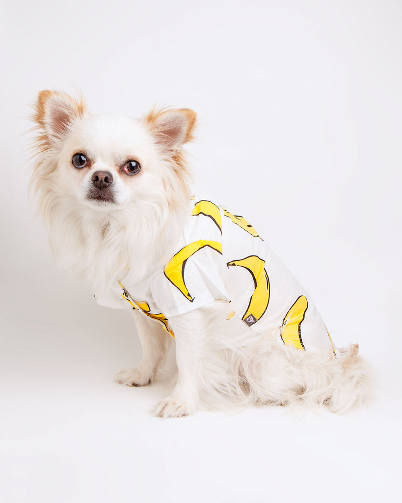 Banana Button Down Dog Shirt Wear DOGO   