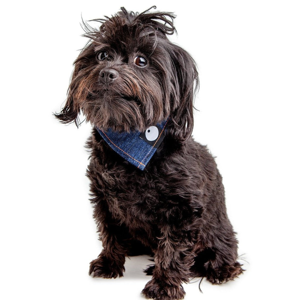 Bandana Bowl For Dogs (Made in the USA) Wear DOG & CO. COLLECTION   