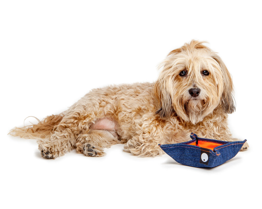 Bandana Bowl For Dogs (Made in the USA) Wear DOG & CO. COLLECTION   