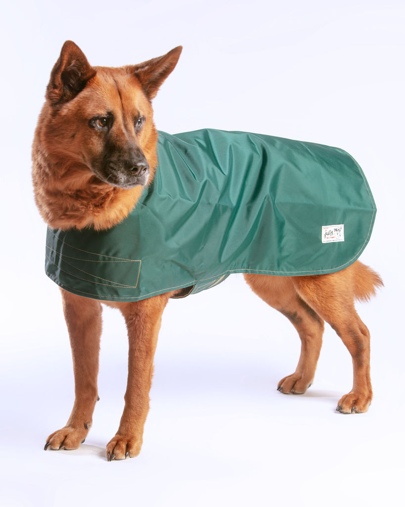 Carson Reversible Dog Raincoat in Green & Tan (Made in the USA) << FINAL SALE >> Wear BILLY WOLF   