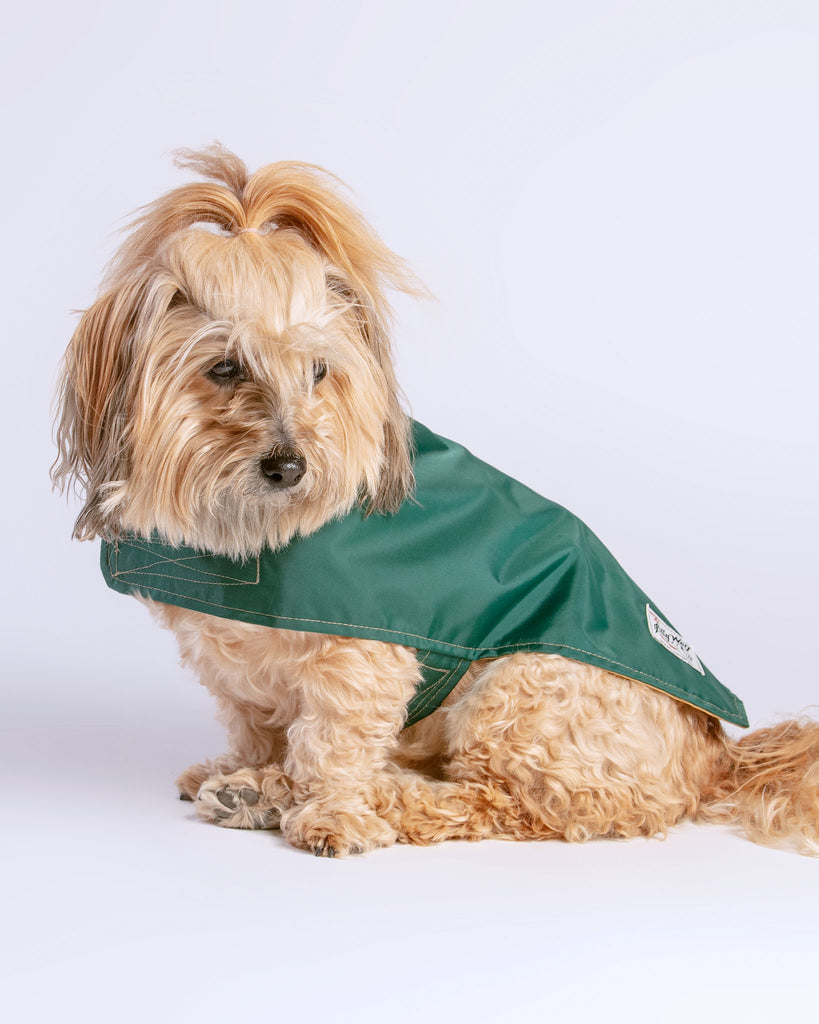 Carson Reversible Dog Raincoat in Green & Tan (Made in the USA) << FINAL SALE >> Wear BILLY WOLF   